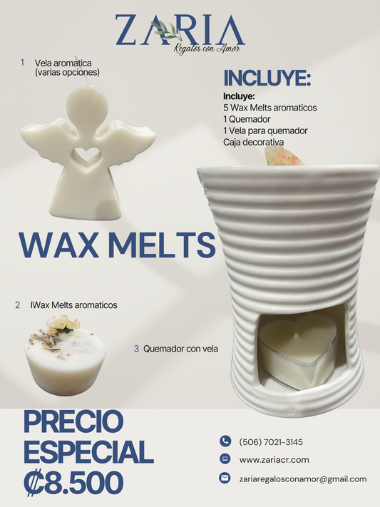 Wax Melts - Obsequio completo (producto de temporada 2024)