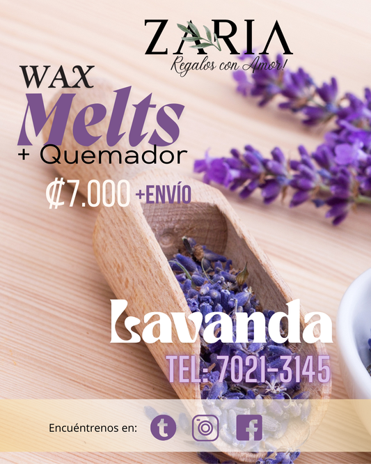 Wax Melts de Lavanda